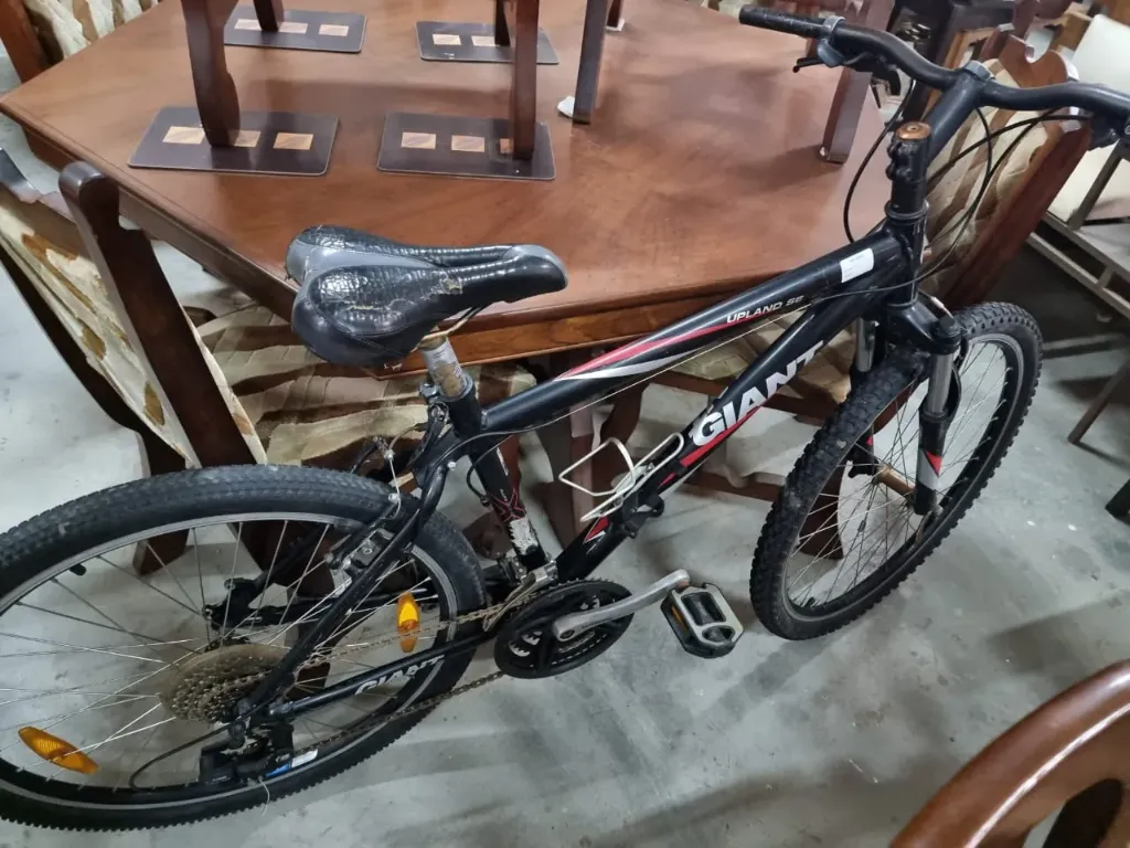 Giant Upland SE Bicycle